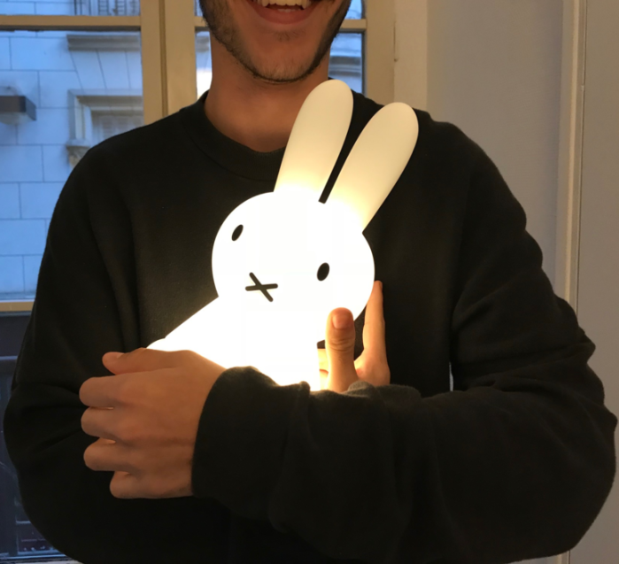 Choisir la bonne lampe lapin